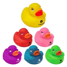 a group of colorful duck