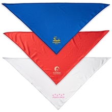 aerial view a group of pup - pet bandana, image 1 of 2