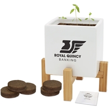 a white large ceramic planter