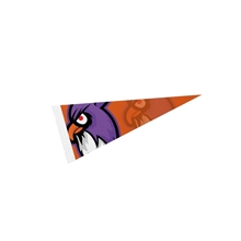 a group of classic felt pennant - 5 x 12