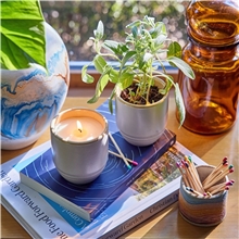 a group of modern sprout(r) garden vibes candle / planter