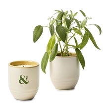 aerial view a group of modern sprout(r) garden vibes candle / planter, image 1 of 2