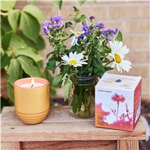 a group of modern sprout(r) garden vibes candle / planter