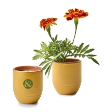 aerial view a group of modern sprout(r) garden vibes candle / planter, image 1 of 2
