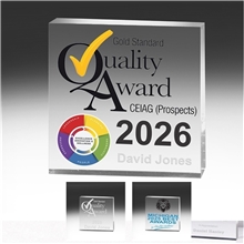 a group of 2 x 2 /12 x mini square acrylic paperweight