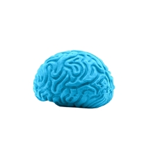 a blue pencil - top eraser brain