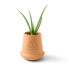a group of modern sprout(r) modern terracotta grow kit aloe