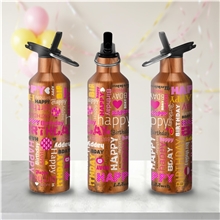 a group of 20 oz double wall stainless steel bottle with leakproof spout, straw and carry handle