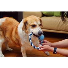 aerial view a group of circlet rope ring ball pet toy, image 1 of 2