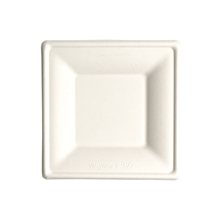 6Square Compostable Paper Plate Bagasse