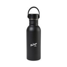 Arlo Classics Stainless Steel Hydration Bottle - 20 oz