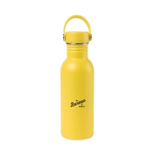 Arlo Classics Stainless Steel Hydration Bottle - 20 oz