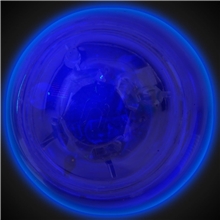 Clear w / Blue LED Flashballs