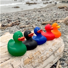 Custom Rubber Ducks
