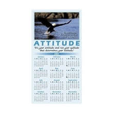 Eagle / Attitude - Jumbo / Economy Magnets