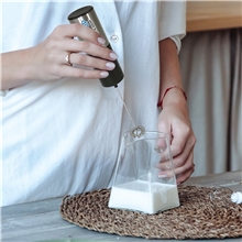 Electric Handheld Frother / Mixer