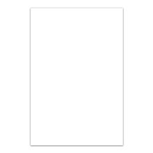 Full Color Digital Calendar Magnet