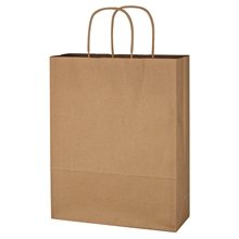 Kraft Paper Brown Shopping Bag - 10 x 13