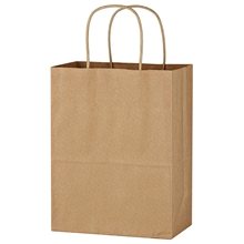 Kraft Paper Brown Shopping Bag - 8 x 10-1/4