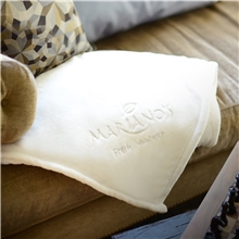 Micro - Plush Fleece Blanket