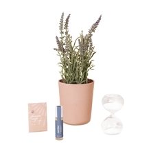 Modern Sprout(R) Seek Peace Take Care Kit - Lavender