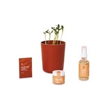 Modern Sprout(R) Shine Bright Take Care Kit - Sunflower