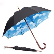 MoMA Sky Wooden Handle Umbrella Stick