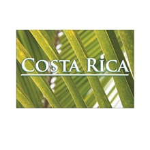 Post card 4 x 6 Full Color - Paper Products