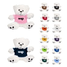 Soft 6 Stuffed Teddy Bear