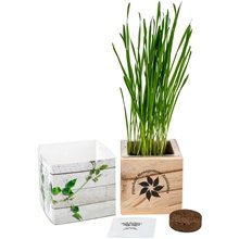 Wooden Cube Grow Kit