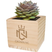 Wooden Cube Grow Kit with Succulent