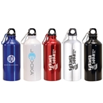 https://img66.anypromo.com/product2/icon/20-oz-aluminum-water-bottle-wcarabiner-p761984.jpg/v4