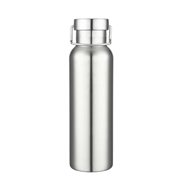 https://img66.anypromo.com/product2/large/20-oz-double-wall-stainless-steel-bottle-p791666_color-silver.jpg/v9
