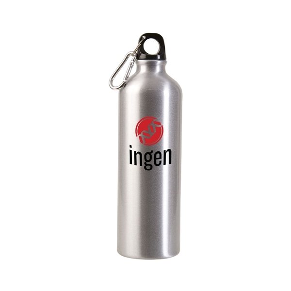 https://img66.anypromo.com/product2/large/25-oz-aluminum-alpine-sports-bottle-p672266_color-silver_1.jpg/v10