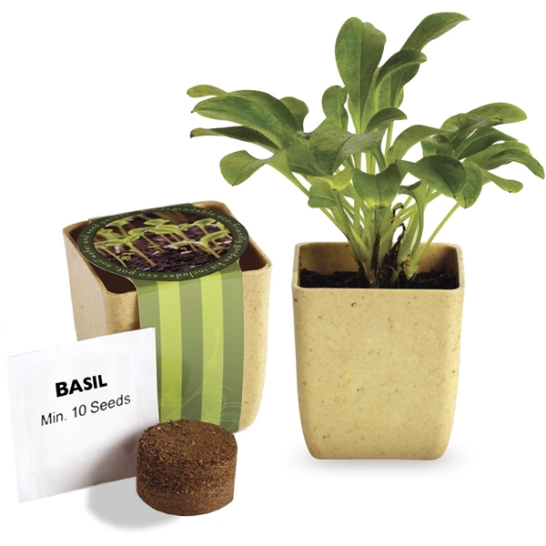 aerial view a tan prime line flower pot set with basil seeds, image 2 of 3