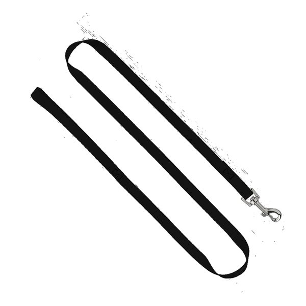 3/4 Smooth Nylon Pet Leash with Bright Metal Snap Hook