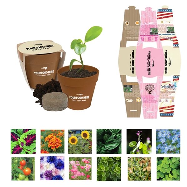 Promotional Mini Blossom Kit with Biodegradable Pot