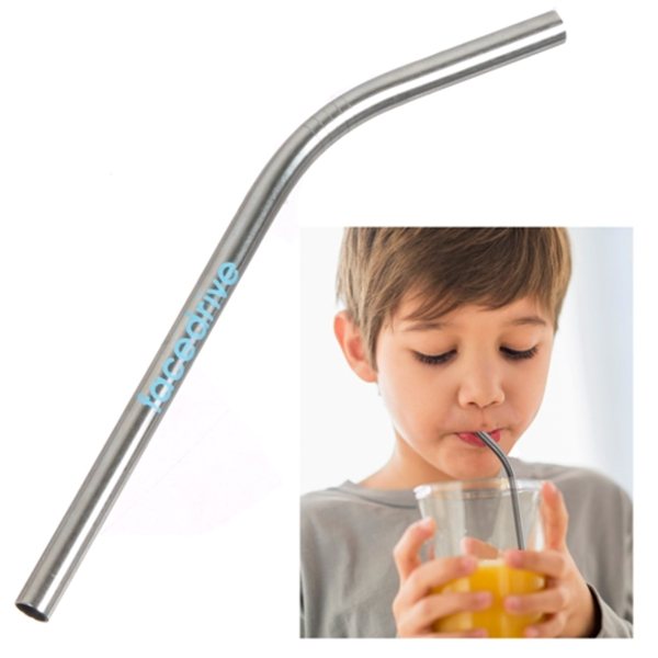 Childrens Steel Straw