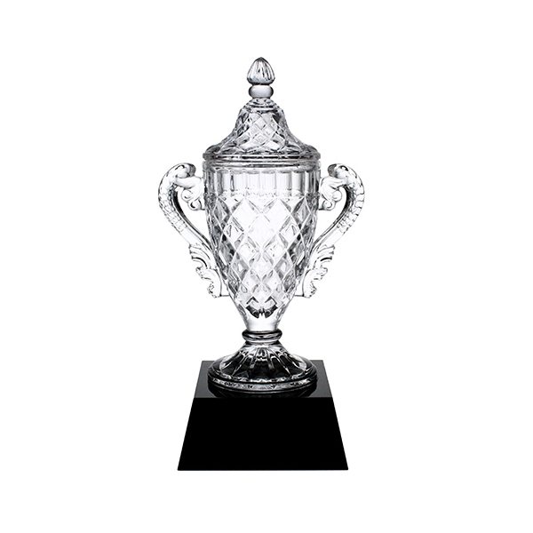 Goodfaire Champions Cup Award