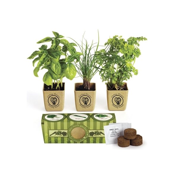 GrowPot Eco - Planter Herb 3- Pack