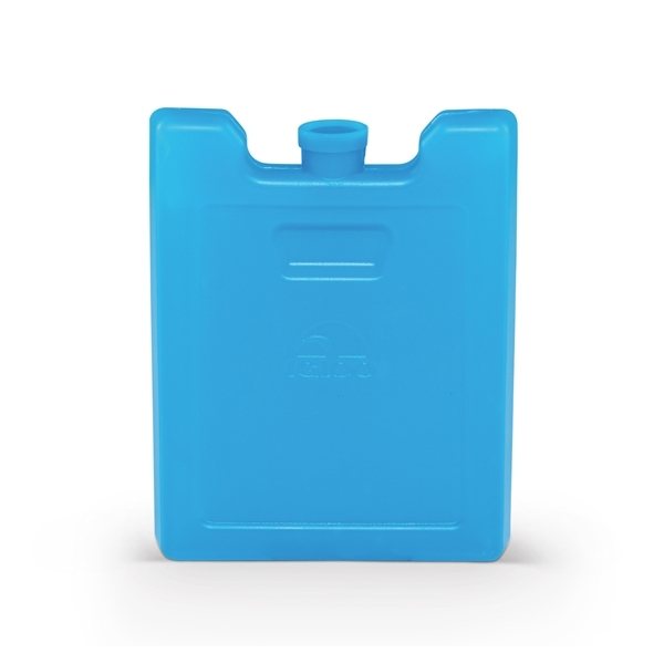 https://img66.anypromo.com/product2/large/igloo-ice-block-small-p789718_color-turquoise.jpg/v2