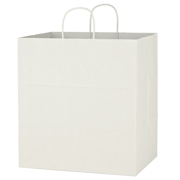 https://img66.anypromo.com/product2/large/kraft-paper-white-shopping-bag-14-x-15-p754300_color-white.jpg/v5