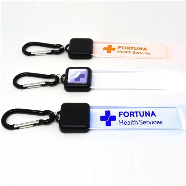 https://img66.anypromo.com/product2/large/lumi-key-clipbag-tag-p781010.jpg/v7