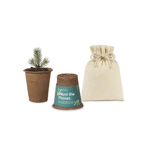 Modern Sprout(R) One For One Tree Kits - Spruce
