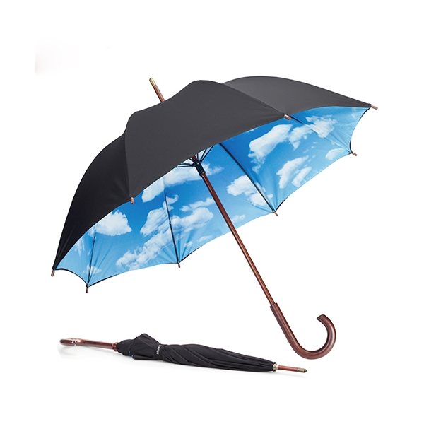 MoMA Sky Umbrella Stick