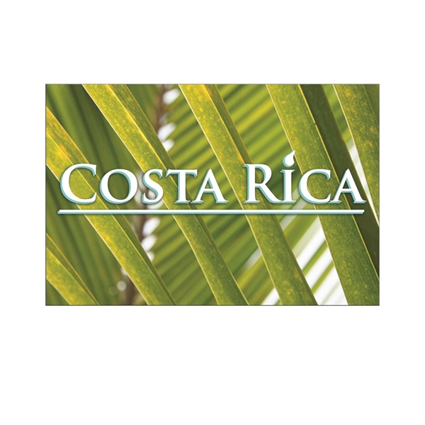 Post card 4 x 6 Full Color - Paper Products