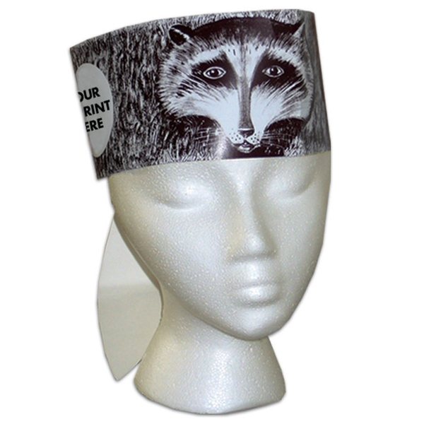 Racoon Hat - Paper Products