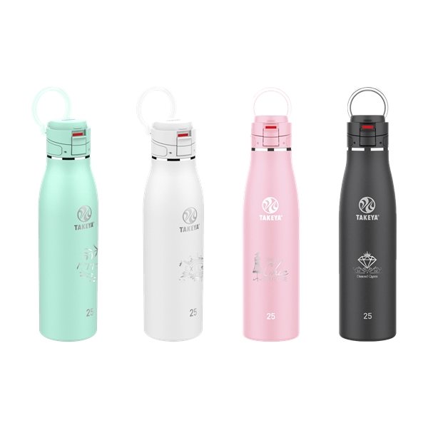 Takeya 25-fl oz Stainless Steel Insulated Water Bottle in the Water Bottles  & Mugs department at