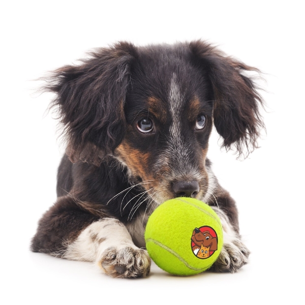 Promotional Tennis Ball Dog Toy