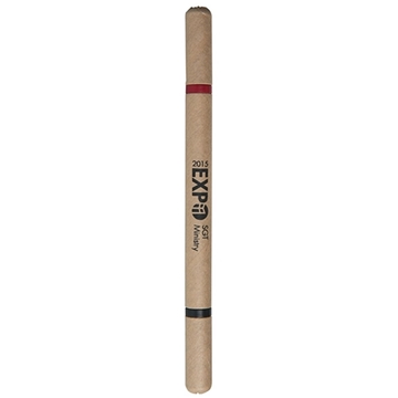 BioDegradable Two Color Cardboard Pen